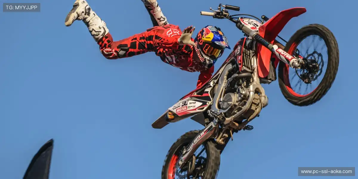 🏆 决赛巅峰夜荣耀之战,每一秒都价值连城,史诗感爆棚!💎